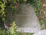 image of grave number 899281